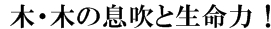木水の生命力